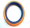 Odranid