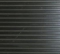 Odranid