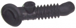 Odranid