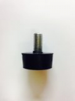 Odranid