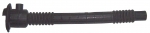 Odranid