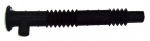 Odranid