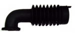 Odranid
