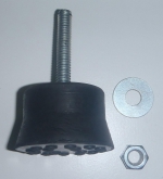 Odranid